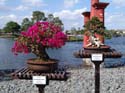 Flower-Garden-Festival-96