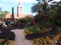 Flower-Garden-Festival-99d