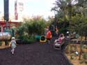 Flower-Garden-Festival-99e