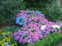 Flower-Garden-Festival-99o