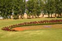 Annual Flowers Berm Mickey Land 2_2