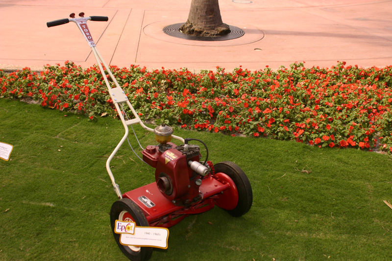 Flower-Garden-img_3405