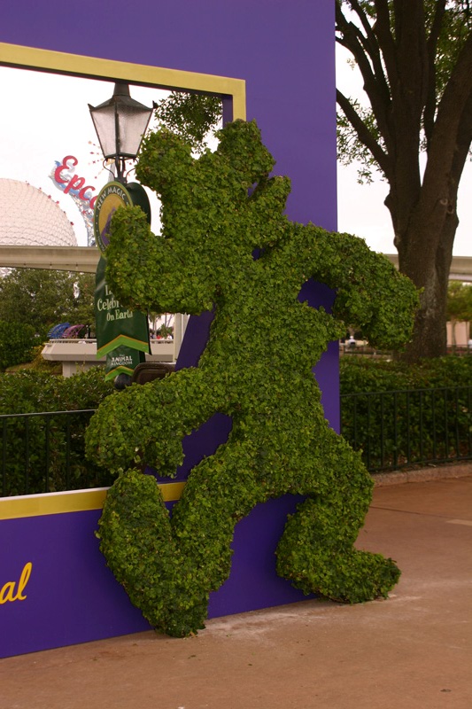 Flower-Garden-img_3489