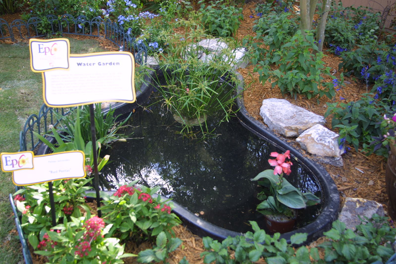 flower2 015