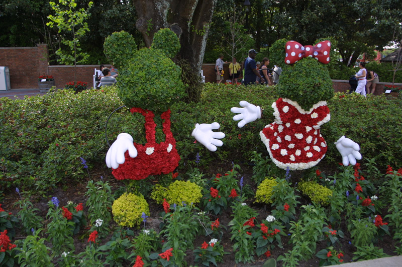 flower2 028