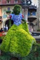 flower2 095