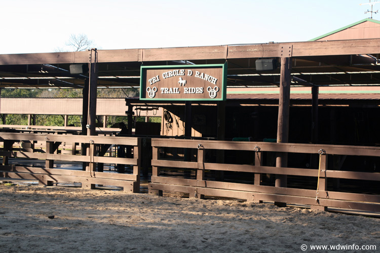 Circle D Ranch