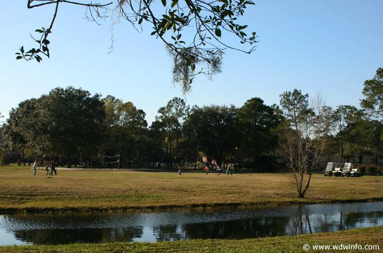 Pond Area