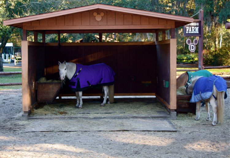 Ft-Wilderness-Recreation-10