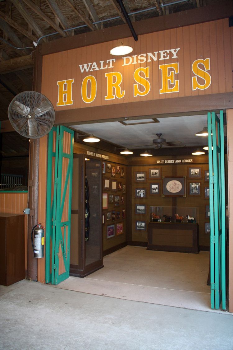 Ft-Wilderness-Recreation-19