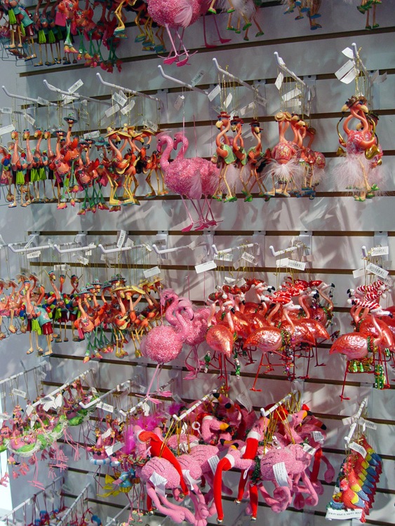 DSC03991