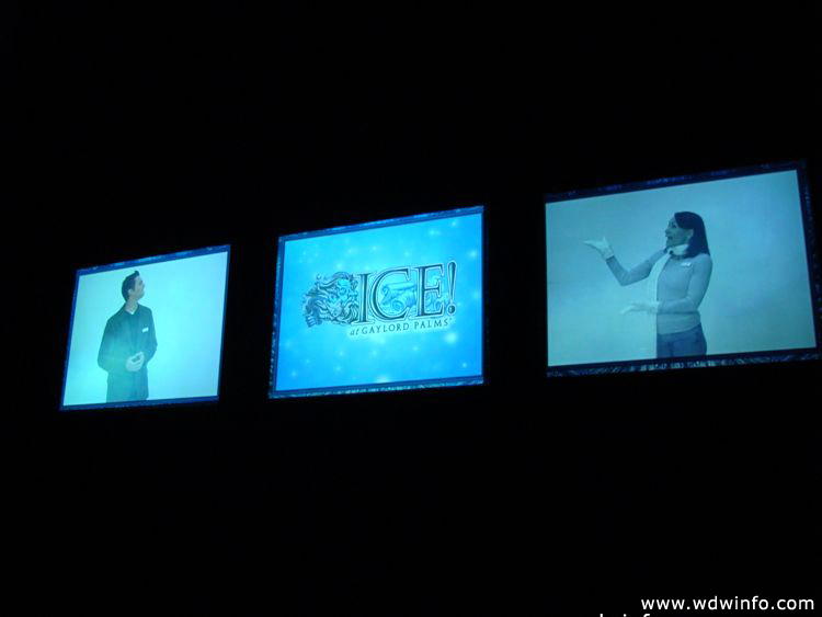 ice-gaylord-palms-10