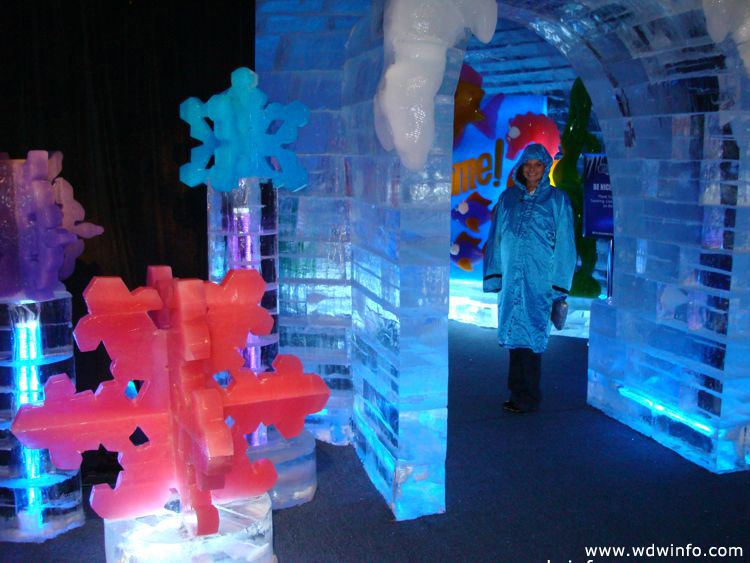 ice-gaylord-palms-20