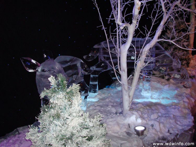 ice-gaylord-palms-24