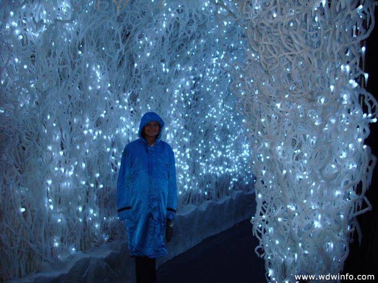 ice-gaylord-palms-62