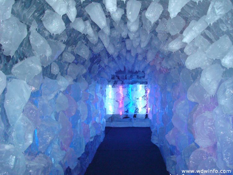 ice-gaylord-palms-71