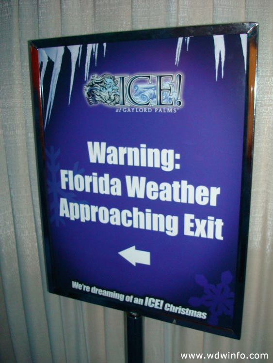 ice-gaylord-palms-78