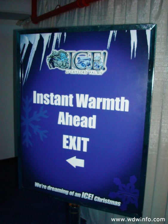 ice-gaylord-palms-79