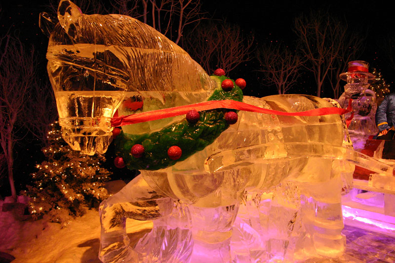 ICE-Gaylord-Palms111
