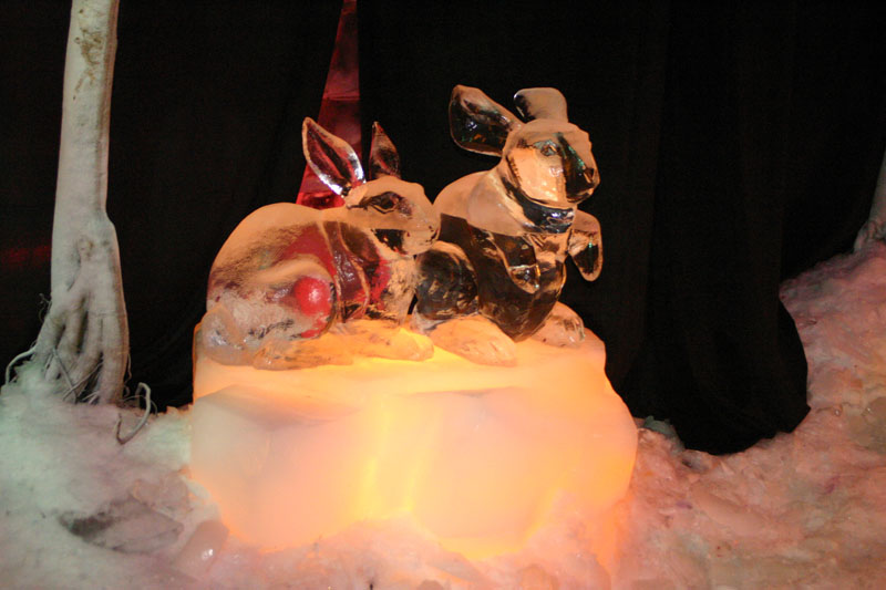 ICE-Gaylord-Palms117