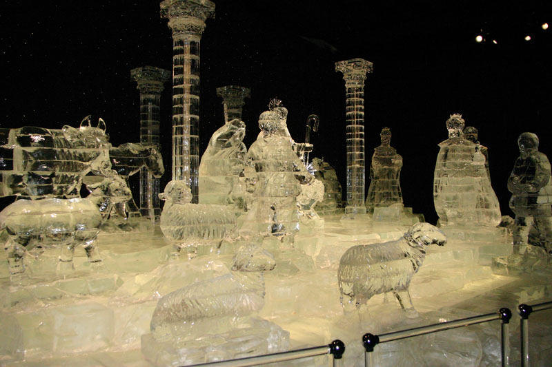 ICE-Gaylord-Palms133