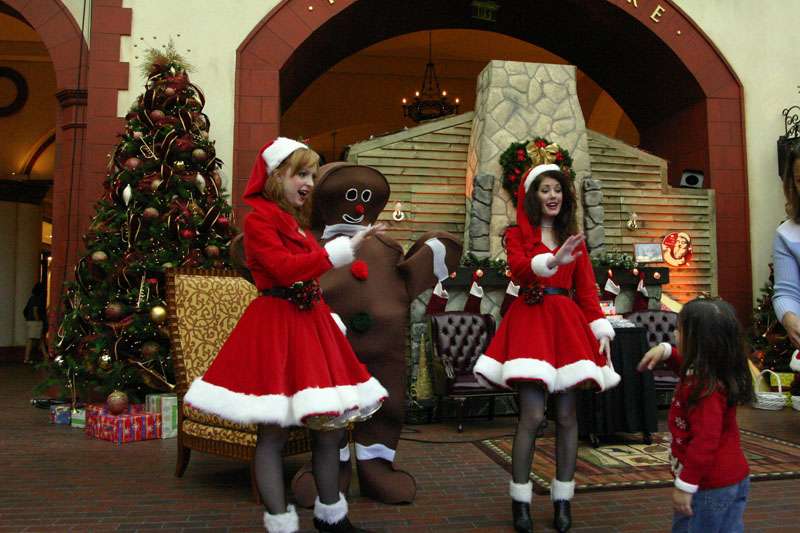 ICE-Gaylord-Palms156