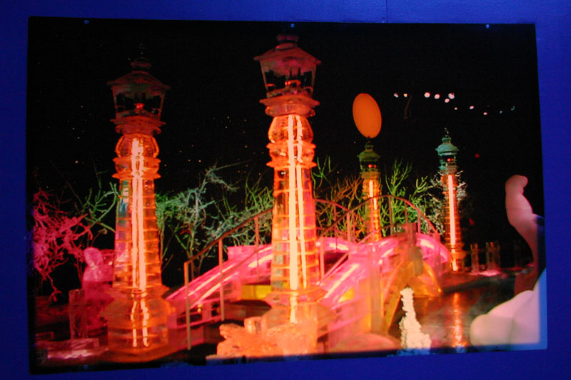 ICE-Gaylord-Palms25