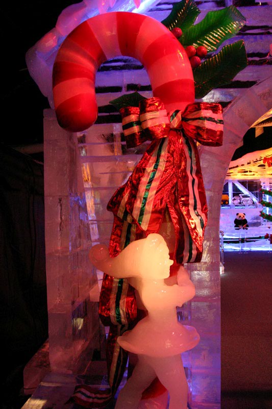 ICE-Gaylord-Palms51
