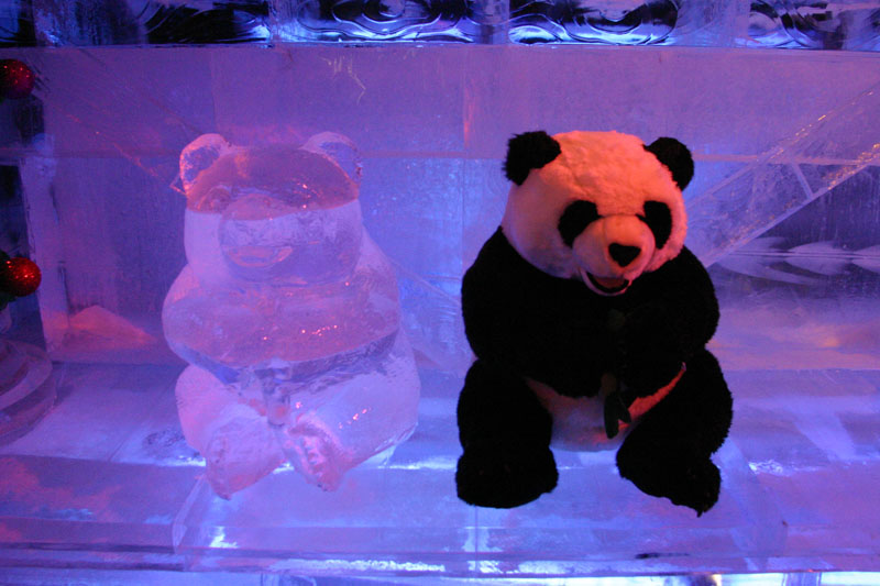 ICE-Gaylord-Palms63