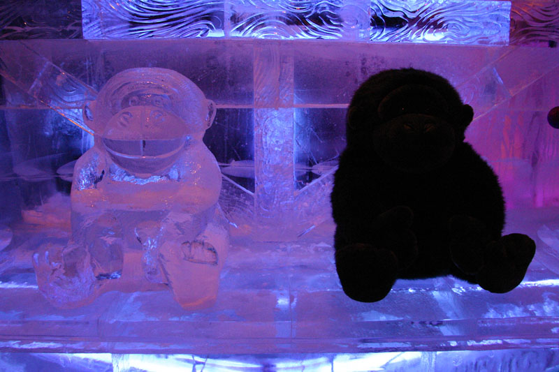 ICE-Gaylord-Palms72
