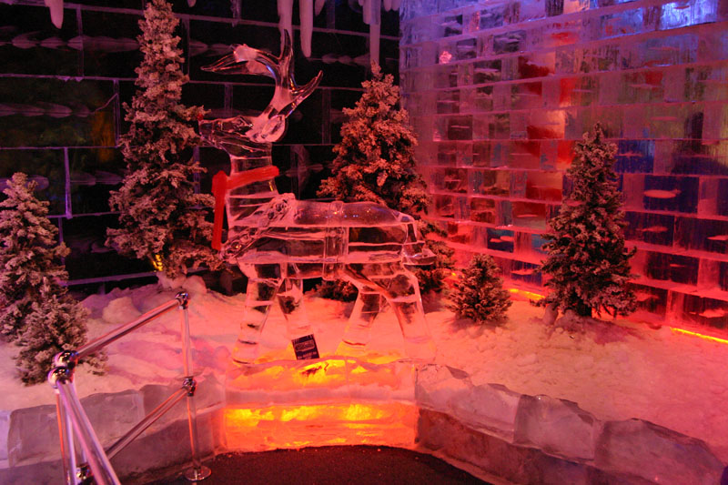 ICE-Gaylord-Palms86