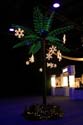 ICE-Gaylord-Palms145