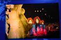 ICE-Gaylord-Palms24