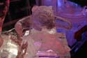 ICE-Gaylord-Palms60
