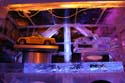 ICE-Gaylord-Palms73