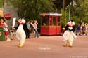 14A Penguins