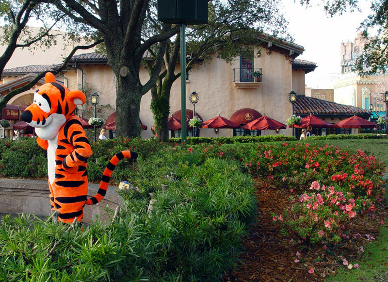Dining-Brown-Tigger