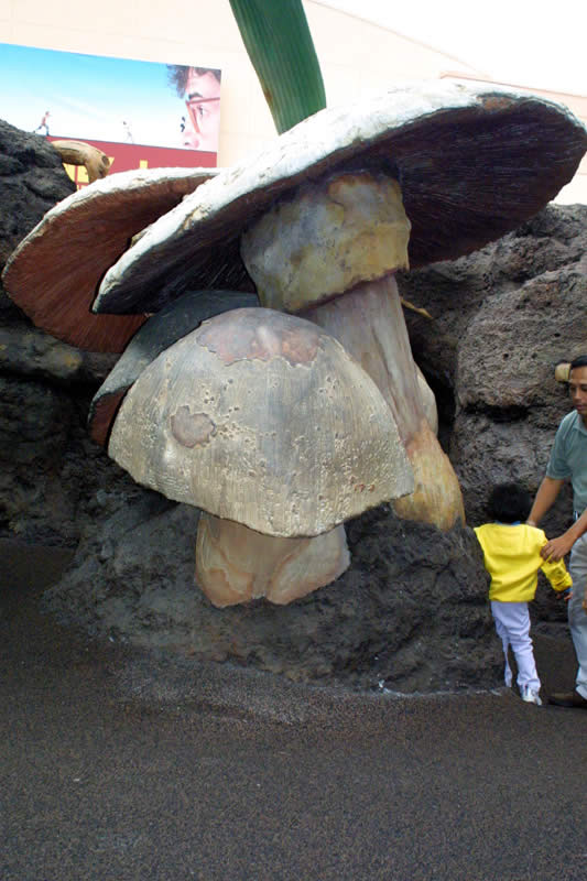 Honey, I Shrunk the Kids Playground_08