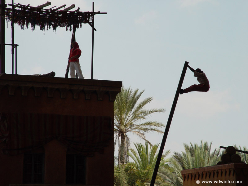 Indiana Jones Stunt_39
