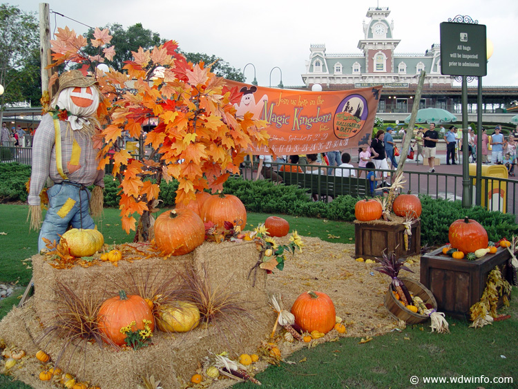 Mickey's Not So Scary Halloween Party - DSC00980