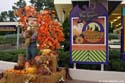 DSC00979a