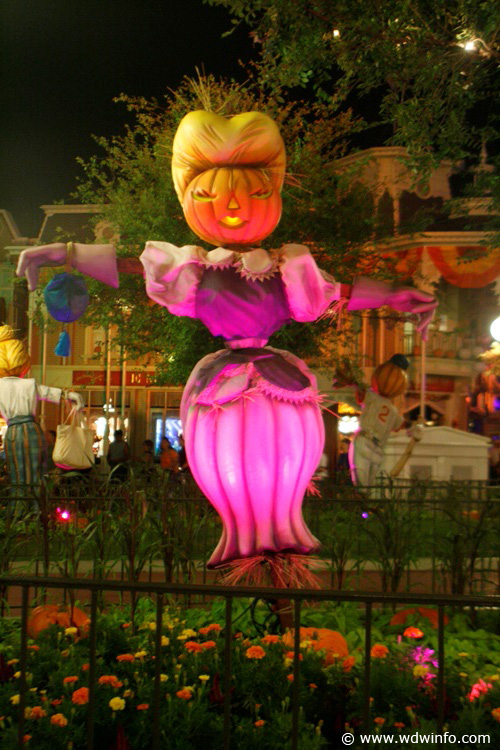 DSC02501