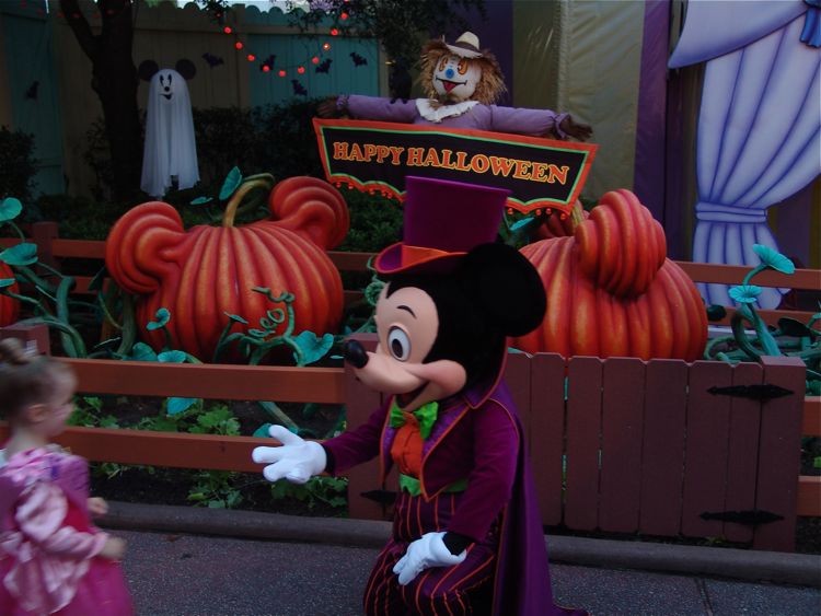 MNSSHP-08_29