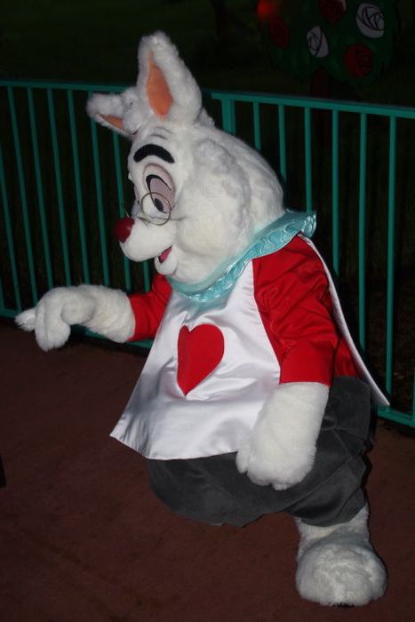MNSSHP-08_36