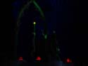 MNSSHP-08_99c