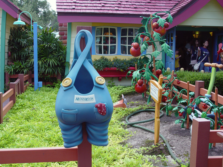 Mickeys- Country-House-07