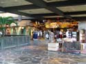 DSC02353a