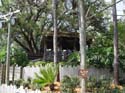 port-orleans-riverside-80a