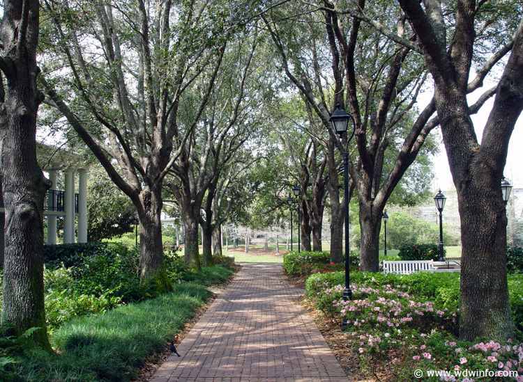 port-orleans-riverside-106