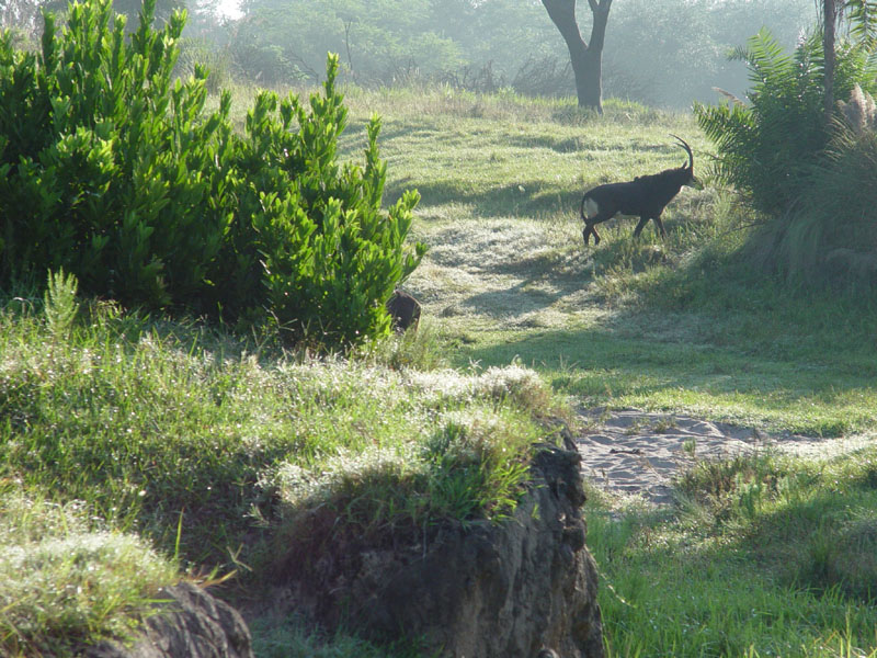 DSC01090